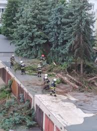 A tornado has swept through several villages in the czech republic, killing five people and leaving more than 150 others injured. Tornado Csapott Le Oroshazan