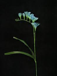 Check out these gorgeous dark teal wedding color ideas and get inspired. Silk Flowers By Color Teal