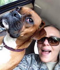 PetBacker โมเม้นโพสต์โดย Jasmine Travers มาเป็นเพื่อนกันเถอะที่ PetBacker  App!