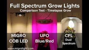This durable light offers a brightness suitable for all plant types. Full Spectrum Grow Light Comparison Test Cob Vs Red Blue Led Vs Cfl Youtube