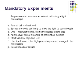 An electron microscope is required for virus and dna. Cell Structure The Microscope Introduction Microscope L L
