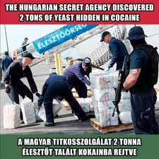 W w w d l. Lift Your Spirit And Learn Hungarian Through These Quarantine Memes Daily News Hungary