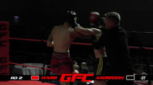 Steve Anderson vs. David Harr