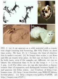 ねこが液体化する瞬間。the moment maru becomes liquid.blog: çŒ«ã®ãƒ¬ã‚ªãƒ­ã‚¸ãƒ¼ è«–æ–‡ã®è§£èª¬ Dragonflare Trail