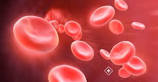 Image result for Anemia