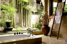Te mostramos 5 plantas ideales para poner en el baño y sumar vida y colores diferentes a uno de los espacios más olvidados del hogar. Plantas Naturales Para Decorar Banos