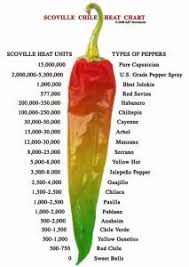 measuring pepper spray on the scoville scale of chili pepper