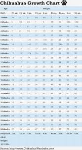 Baby Weight Gain Calculator Chart For Weight Gain Chihuahua