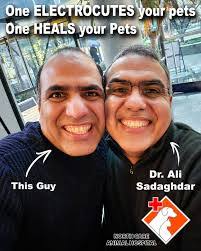 Mehdi Sadaghdar's Instagram, Twitter & Facebook