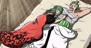Relationship Between Zoro And Hiyori One Piece Comic Zoro Zoro One Piece