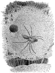 Shop for coral hand tufted rug online at target. Intelligence In Plants And Animals By Thomas G Gentry A Project Gutenberg Ebook