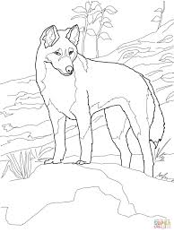 Puppy coloring pages fish coloring page easy coloring pages free coloring sheets coloring. Dingo Coloring Pages Free Colouring Pages Authority