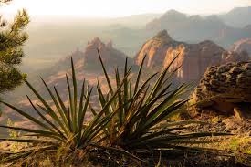 Landscape Photography Red Rock Canyon Las Vegas Nevada