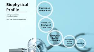 Image result for Biophysical Profile