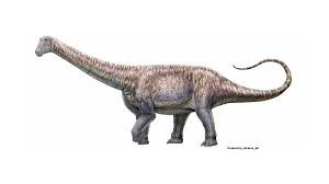 Find clues for huge herbivorous dinosaur (10) or most any crossword answer or clues for crossword answers. New Species Of Plant Eating Dinosaur Discovered In World S Driest Desert In Chile Technology News