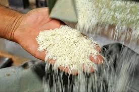 قیمت برنج در میادین و بازارهای میوه و تره‌بار اعلام شد