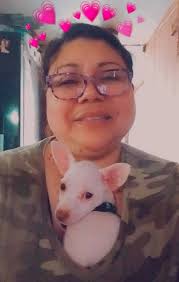 Lost dog with orange collar near El Campo?