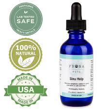 Nasal polyps are pretty common, noncancerous growths. Sinu Help Sinus Infections In Dogs And Cats Pranapets Com Prana Pets