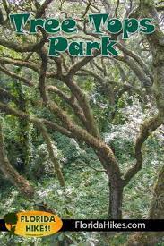 Tree Tops Park Tree Tops Park Pine Island