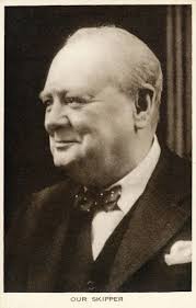 Bald Collection of Photo Prints and Gifts