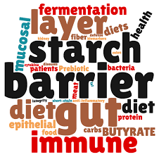 They might tell you that fiber can bind to cholesterol, preventing its absorption. Resistant Starch Butyrate And Gut Barrier Integrity Resistant Starch