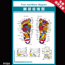 Buy Flipchart Human Meridian Points Of Traditional Chinese