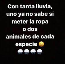 Memes Lluvia Memes Lluvia Frases De Lluvia Memes De Lluvia