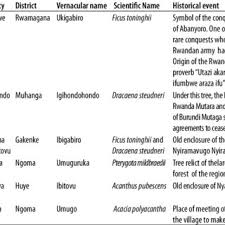 Image result for Pterygota mildbraedii