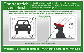 Laterne png hd qualität,laterne ohne hintergrund png bild herunterladen. Erste Hilfe Beim Hund Sonnenstich