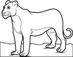 female lion coloring pages for kids fry printable lions and tigers puma coloriage gratuit camion de