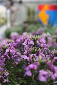 We did not find results for: Edwards Greenhouse Edwardsgh Twitter