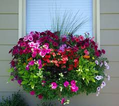140 Bilder Einzimmerwohnung Einrichten Pflanzideen Balkon Blumen Garten