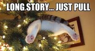 Time For Some Christmas Memes Of Pets Trying To Be Part Of The Festive Spirit Cat Christmas Tree Christmas Cat Memes Christmas Cats