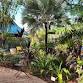 Spring Music in the Gardens