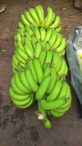 antalya muz fiyatlari 2021