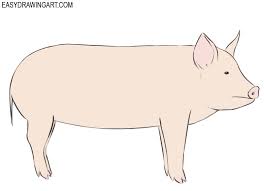 How To Draw A Pig Easy Drawing Art