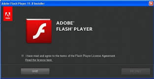 With camtasia, you can record whatever is going on on. Adobe Flash Player Plugin For Ie 11 8 Beta Download Free Bridge Exe