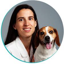 TOP 10 BEST Equine Veterinary Care near Parsons, TN