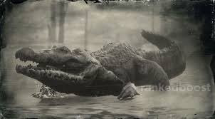 I saw hundreds of elephants today. Red Dead Redemption 2 Alligator Locations Crafting Legendary Materials