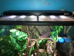 The front opening doors allow easy access for maintenance and feeding. 24x18x24 Exo Terra Setups Album On Imgur