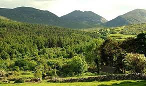 Udsigt over mournes fra st john's point, county down. Mourne Mountains Wikiwand
