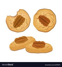 Pecan sandy sweet food cookies pastry nuts icon se