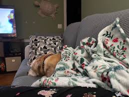 This is Piper... Yes, she is proud of her work and yes, she will do it  again...