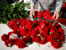 We did not find results for: Valentine S Day By The Numbers See How Much Money Is Spent On Flowers Candy And Cards Abc News