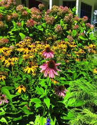 Zucchini or zucchinis), courgette (/kʊərˈʒɛt/; Gardening Tbr News Media