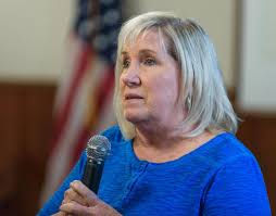 Proposal to expand cricket facilities at Mickie Gordon Park 'paused' amid  local backlash