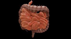 Why Do Diverticulosis And Diverticulitis Happen