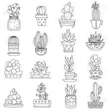 Black And White Line Art Plant Clipart Cactus Line Black White Icons Set With Different Types Of Succulents Plant Doodle Botanical Line Drawing Cactus Vector