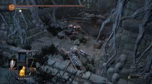 I was usually able to grab one of the items just before dying. Dark Souls 3 Smouldering Lake Walkthrough Polygon