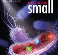Made-to-order ACS Journal Cover Design,Custom ACS Journal ...